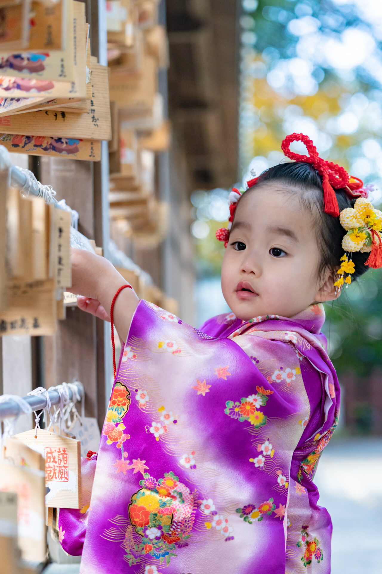 埼玉越谷イロドリフォト七五三ロケーション撮影。神社で絵馬を見る3歳の女の子