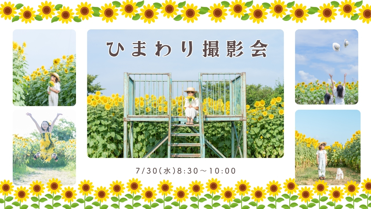埼玉県越谷市にあるフォトスタジオ　イロドリフォトの企画するひまわり撮影会の告知写真